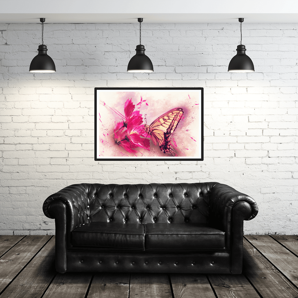 butterfly-on-cosmos-32-x-24-horizontal-black-1-25-canvas-843